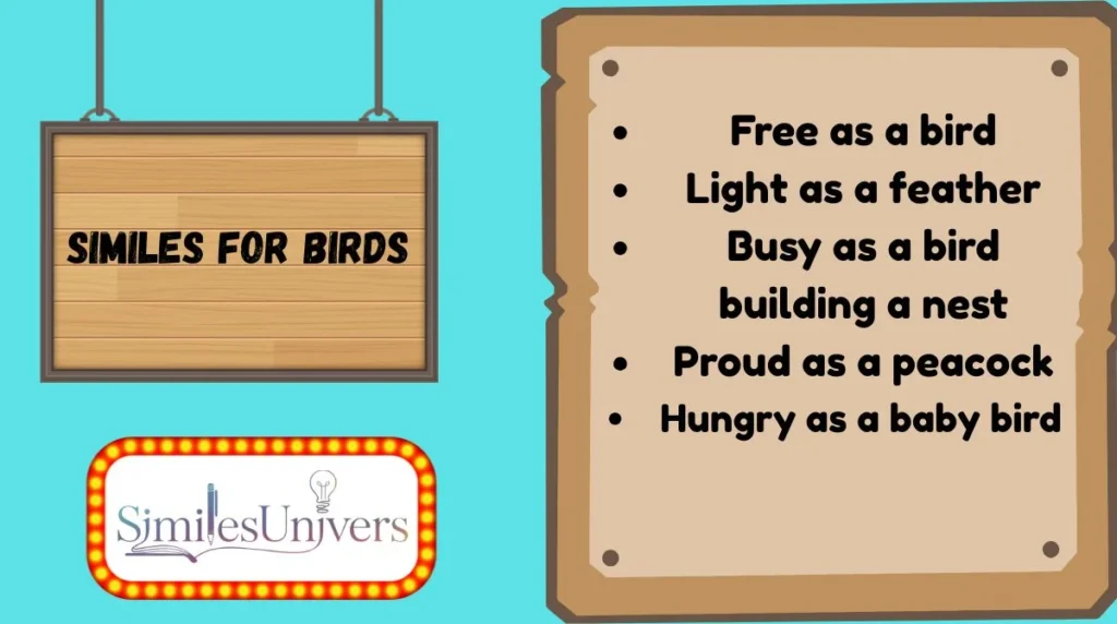 Similes for Birds
