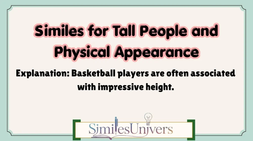 Similes for Tall People and Physical Appearance