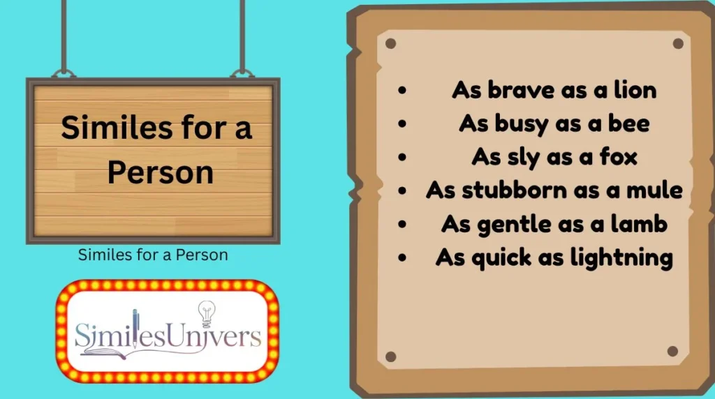 Similes for a Person
