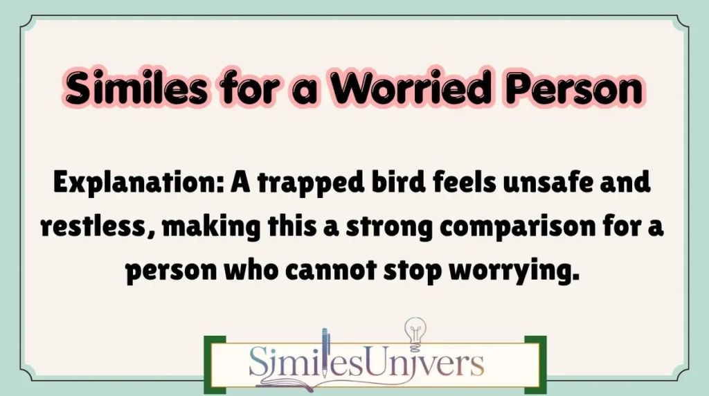 Similes for a Worried Person