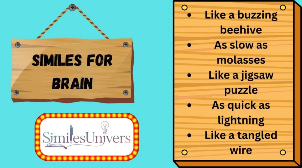 Similes for Brain