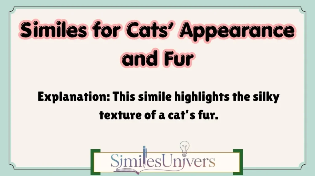 Similes for Cats’ Appearance and Fur
