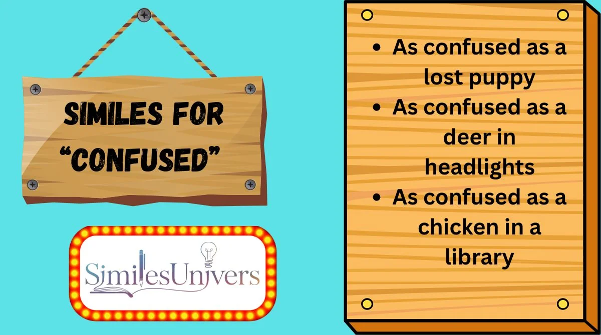 Similes for “Confused”