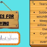 Similes for Crying