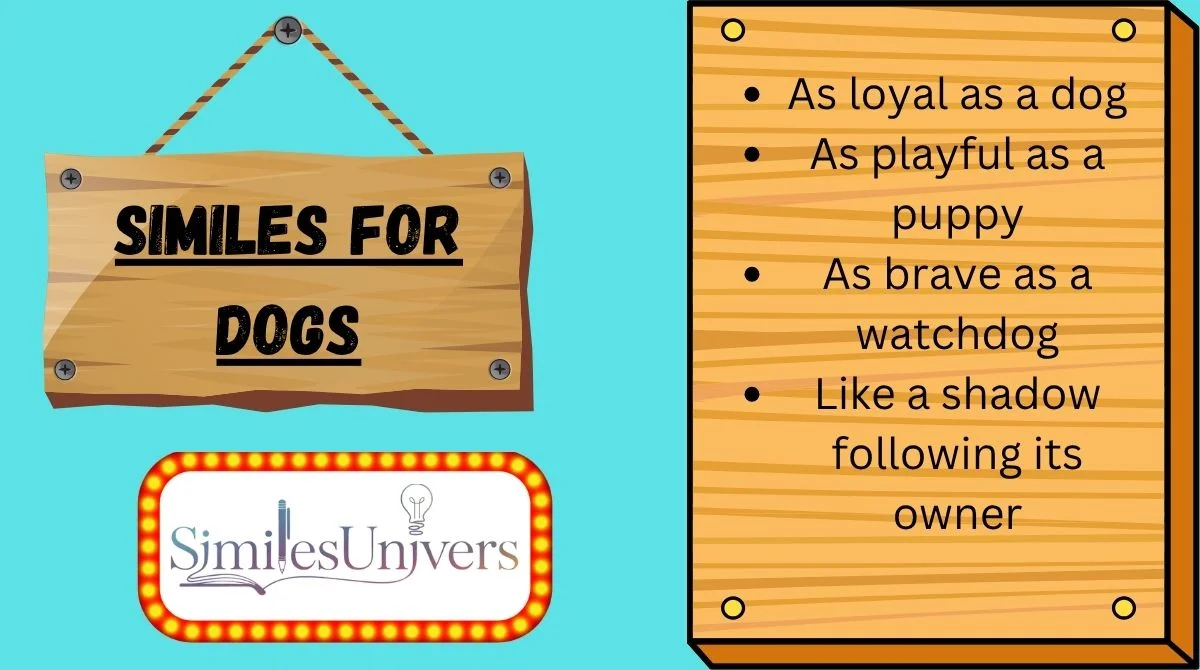 Similes for Dogs