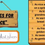 Similes for “Nice”