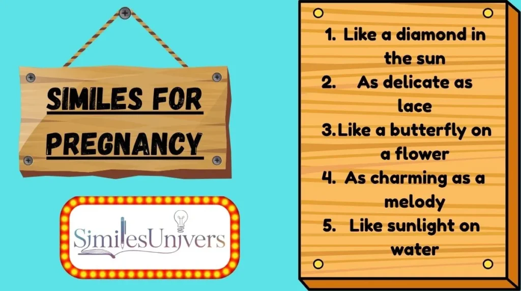 Similes for Pregnancy