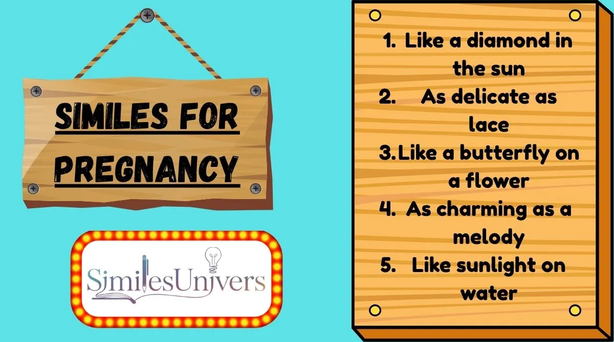 Similes for Pregnancy