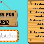 Similes for Stupid